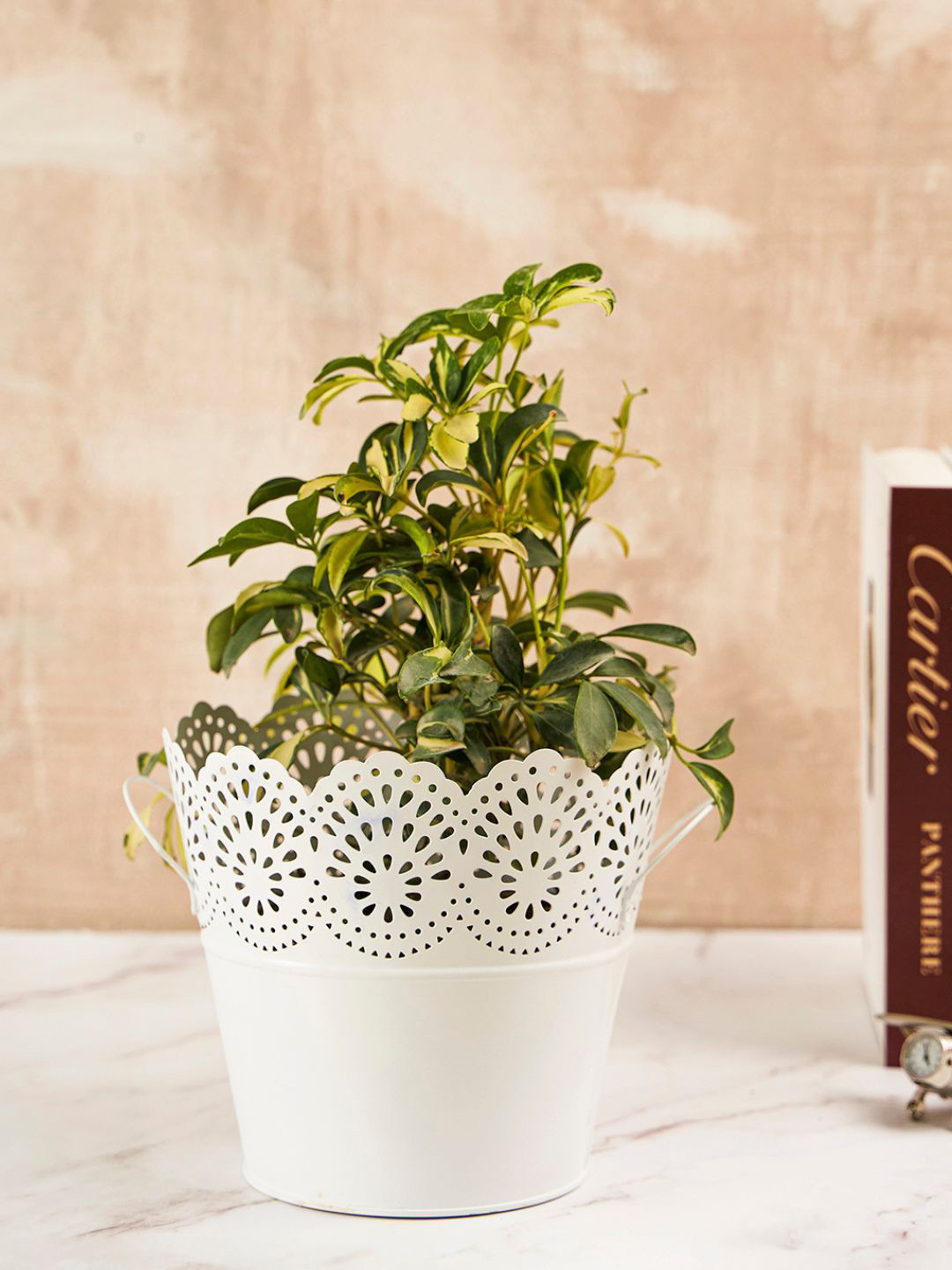 

DecorTwist Metal Planter Pot, White