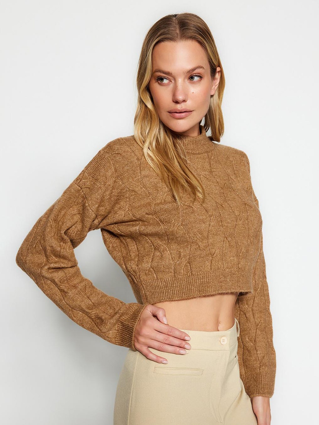 

Trendyol Cable Knit Self Design Crop Pullover Sweater, Brown