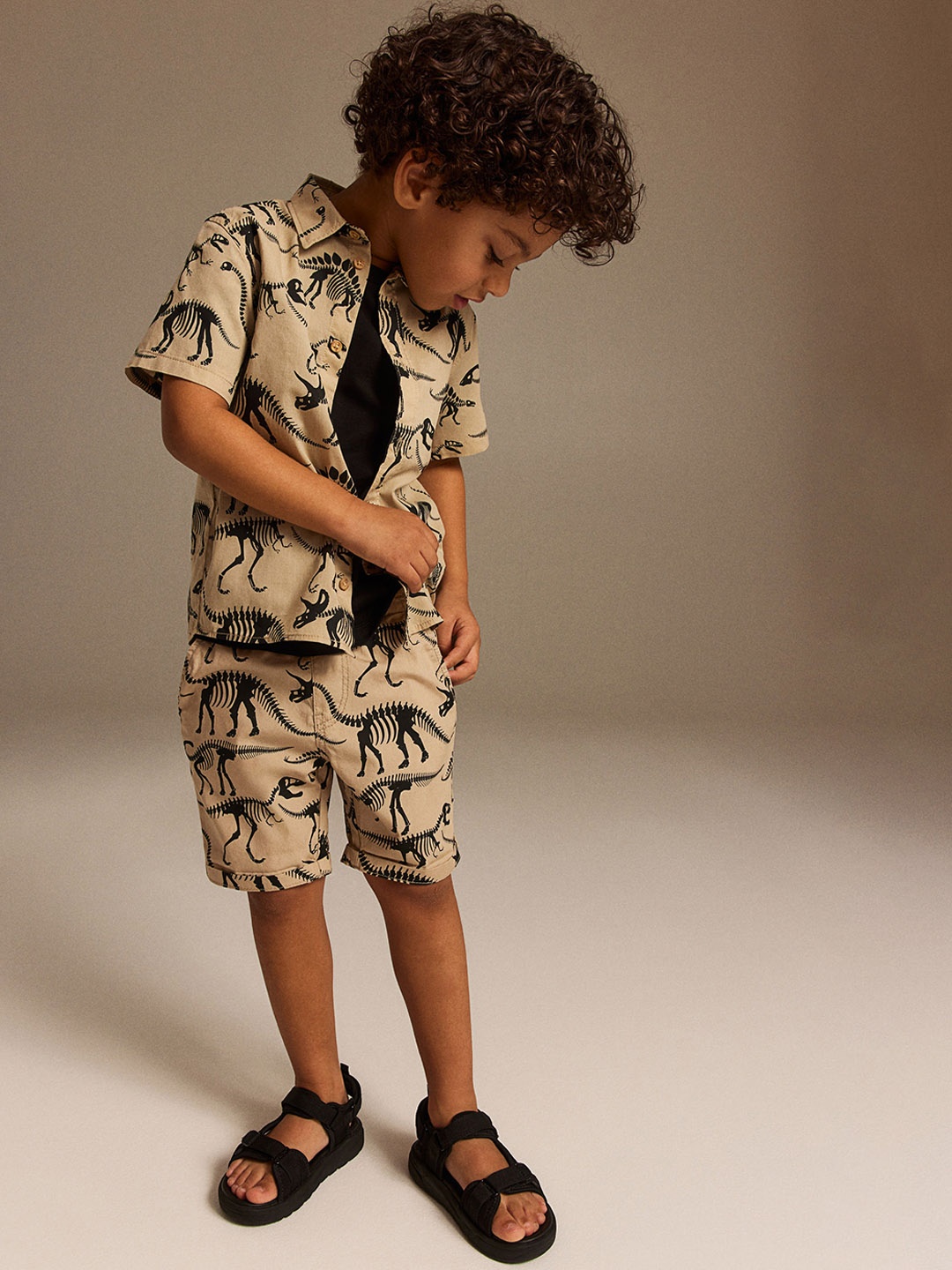 

H&M Boys Pure Cotton Poplin Shorts, Beige