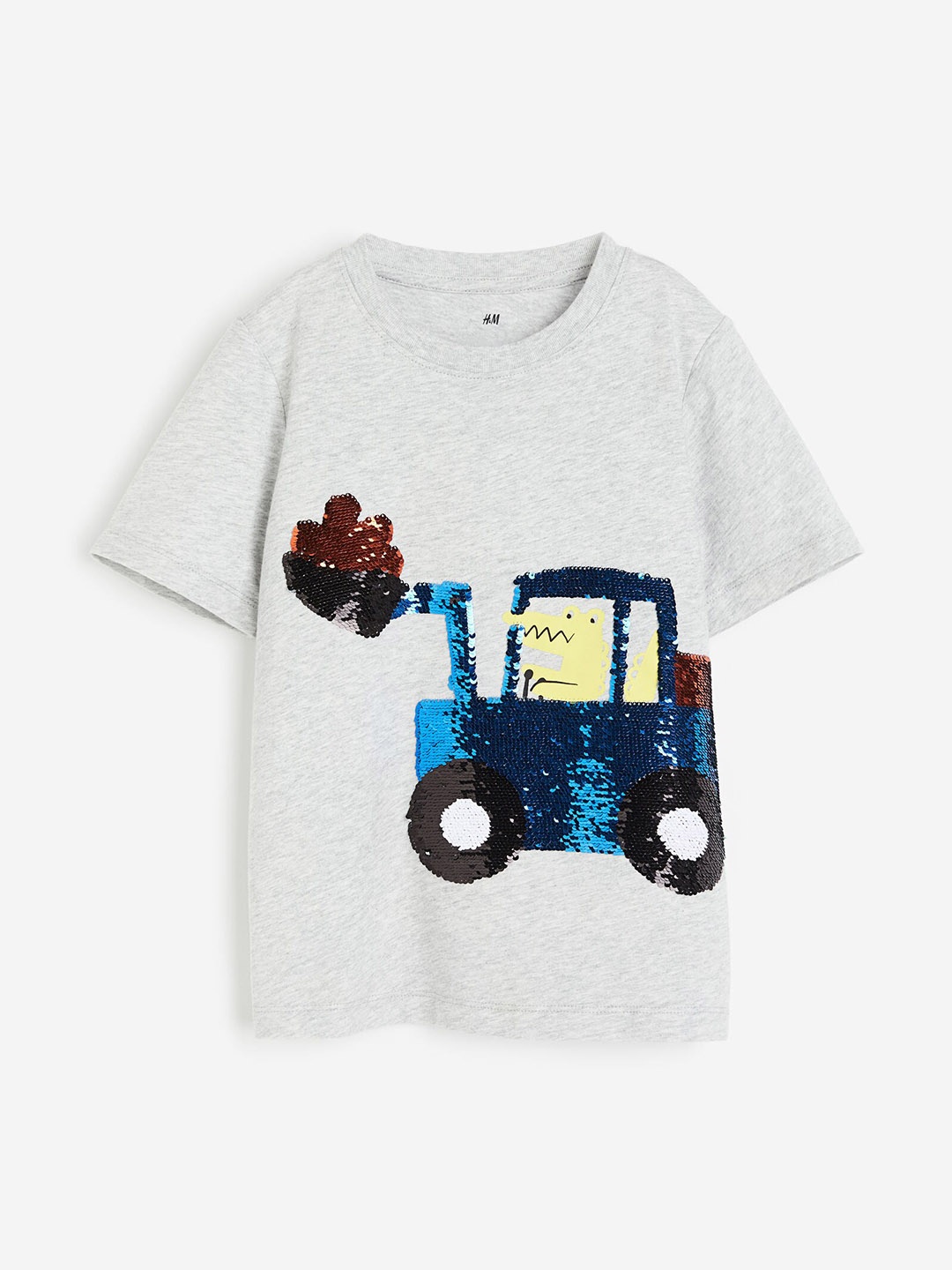 

H&M Boys Interactive-Motif Pure Cotton Tshirts, Grey