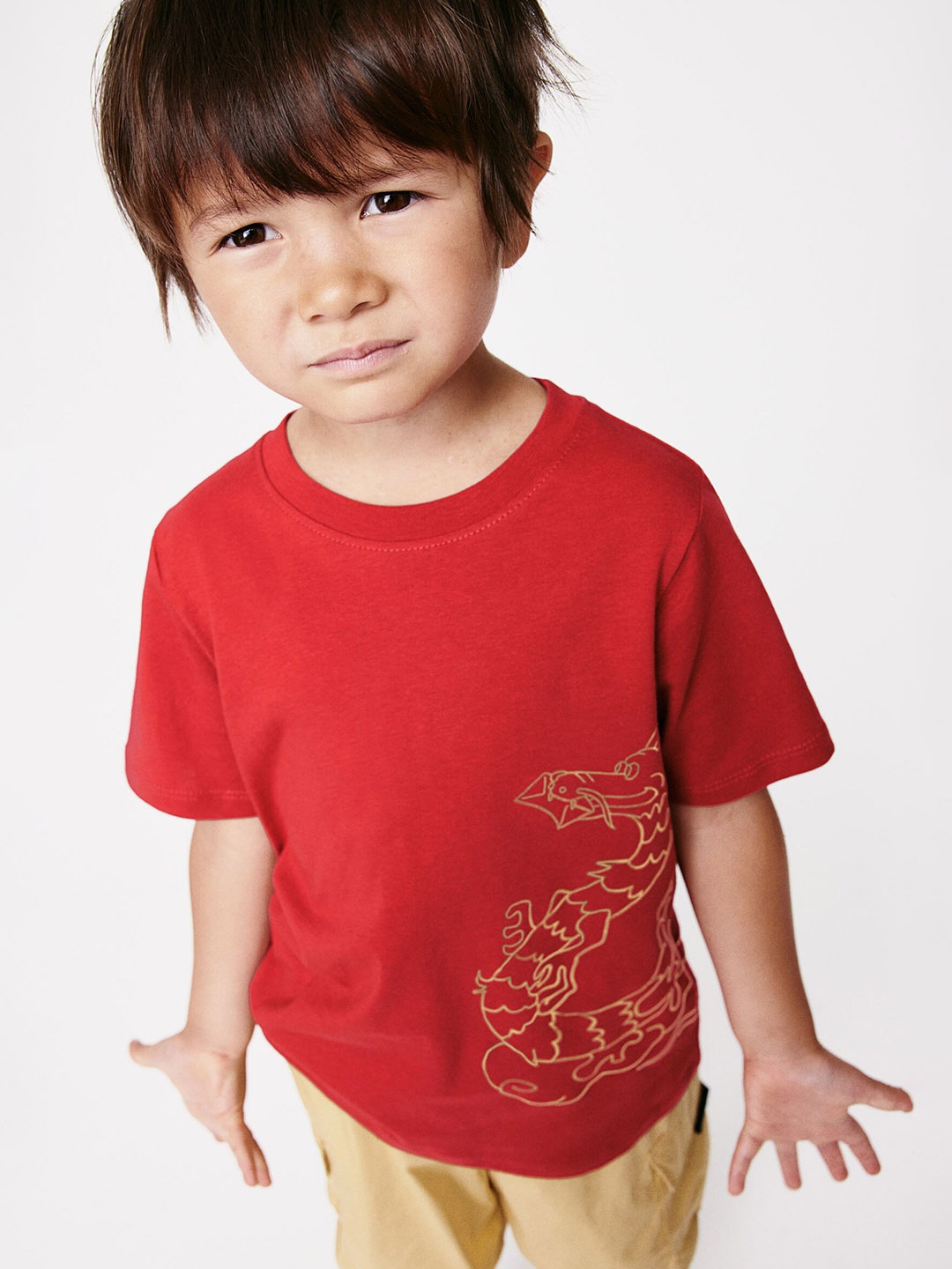 

H&M Boys Printed Pure Cotton T-Shirt, Red