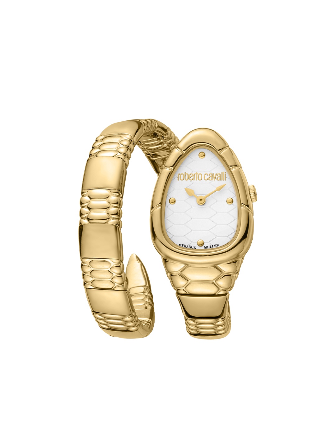 

Roberto Cavalli by Franck Muller Women Silver-Toned Dial & Gold Toned Stainless Steel Straps Watch