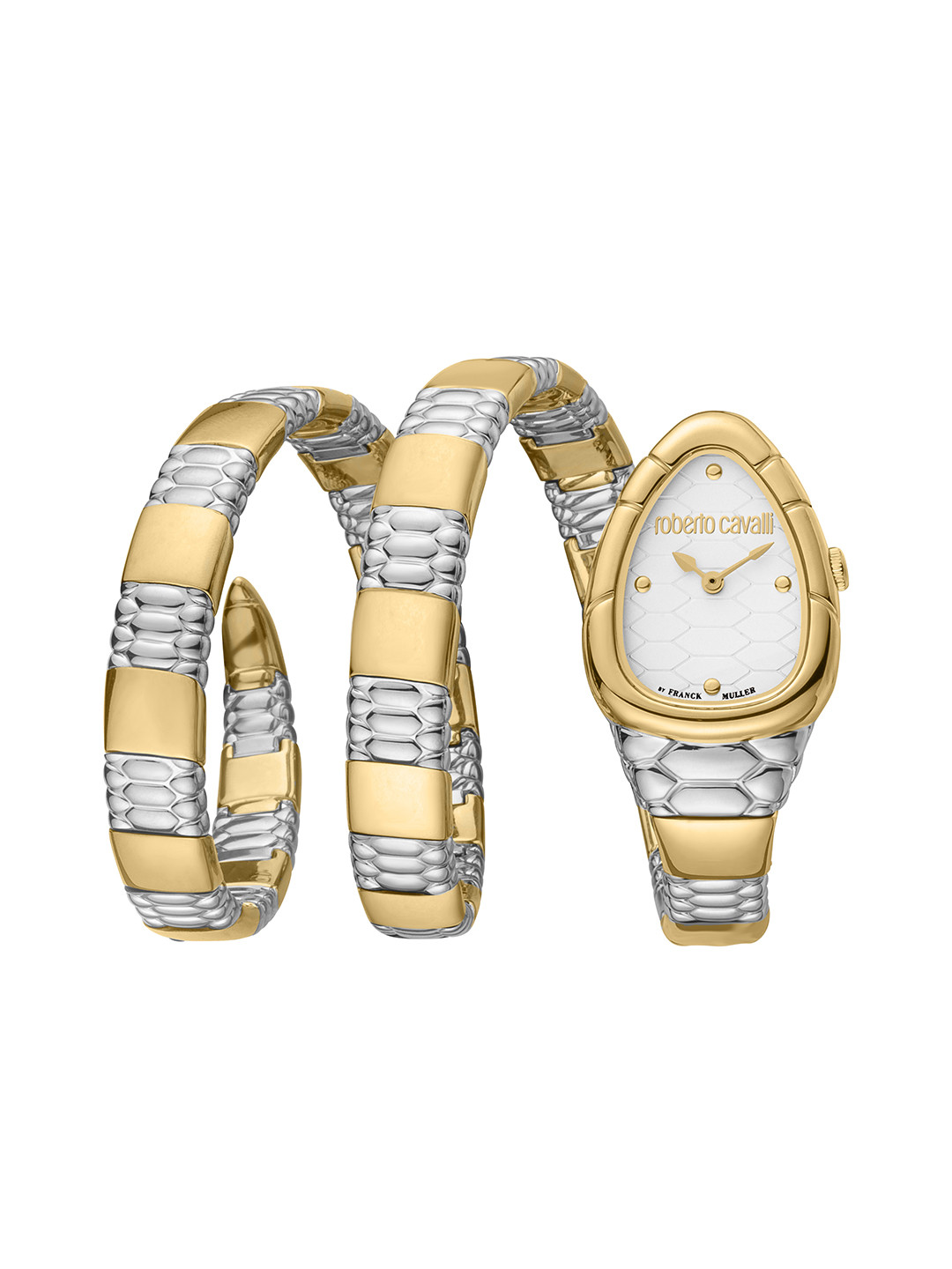 

Roberto Cavalli by Franck Muller Women Silver-Toned Dial & Multicoloured Stainless Steel Straps Watch, Multi