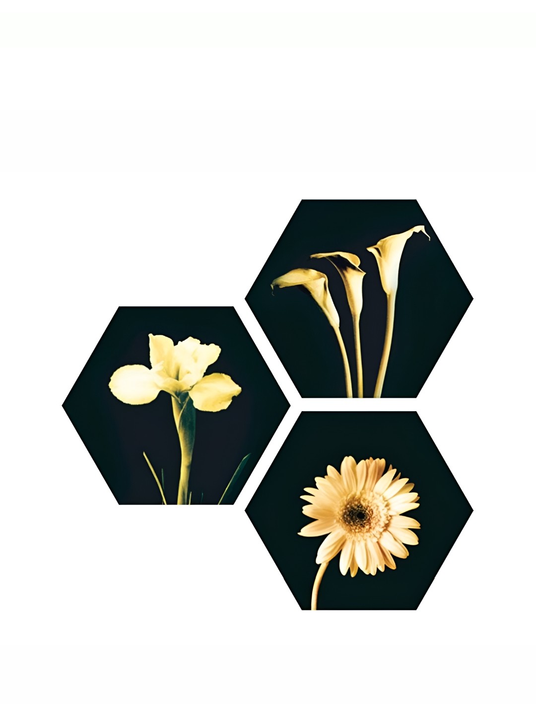 

Heritage India Black & Yellow 3 Pieces Wooden Floral and Botanical Painting Wall Art