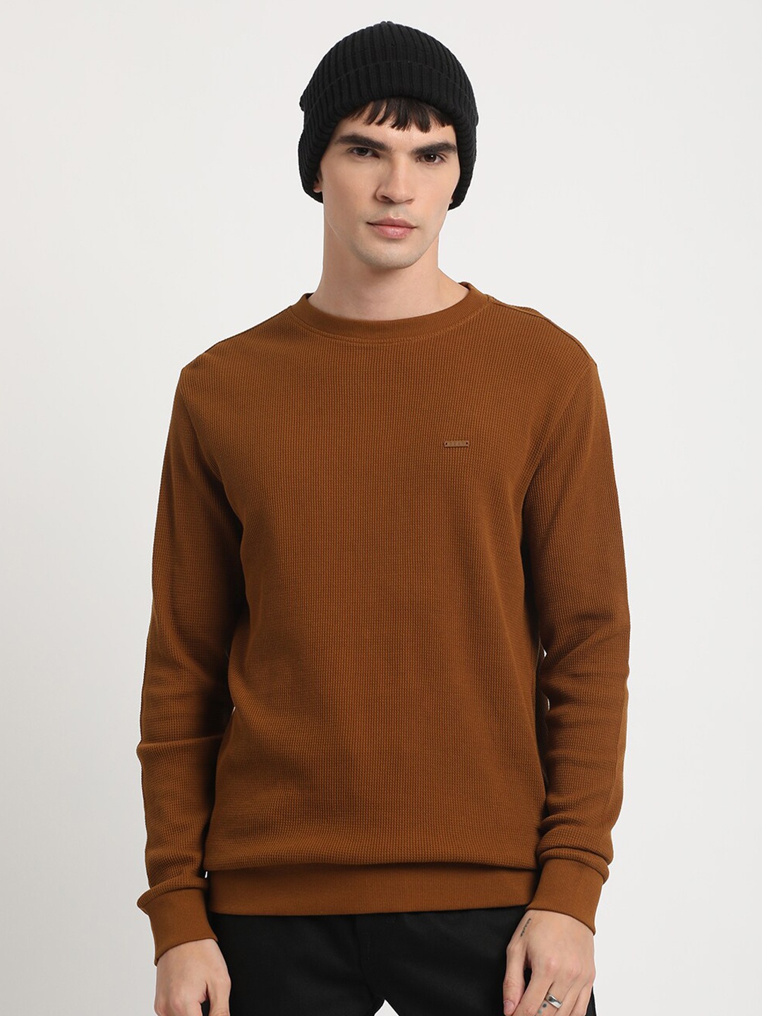 

THE BEAR HOUSE Terry Pure Cotton Pullover, Brown
