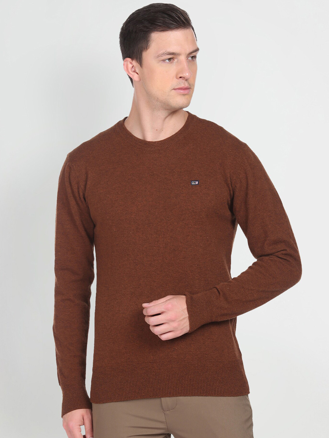

Arrow Sport Round Neck Long Sleeves Pullover Sweater, Brown