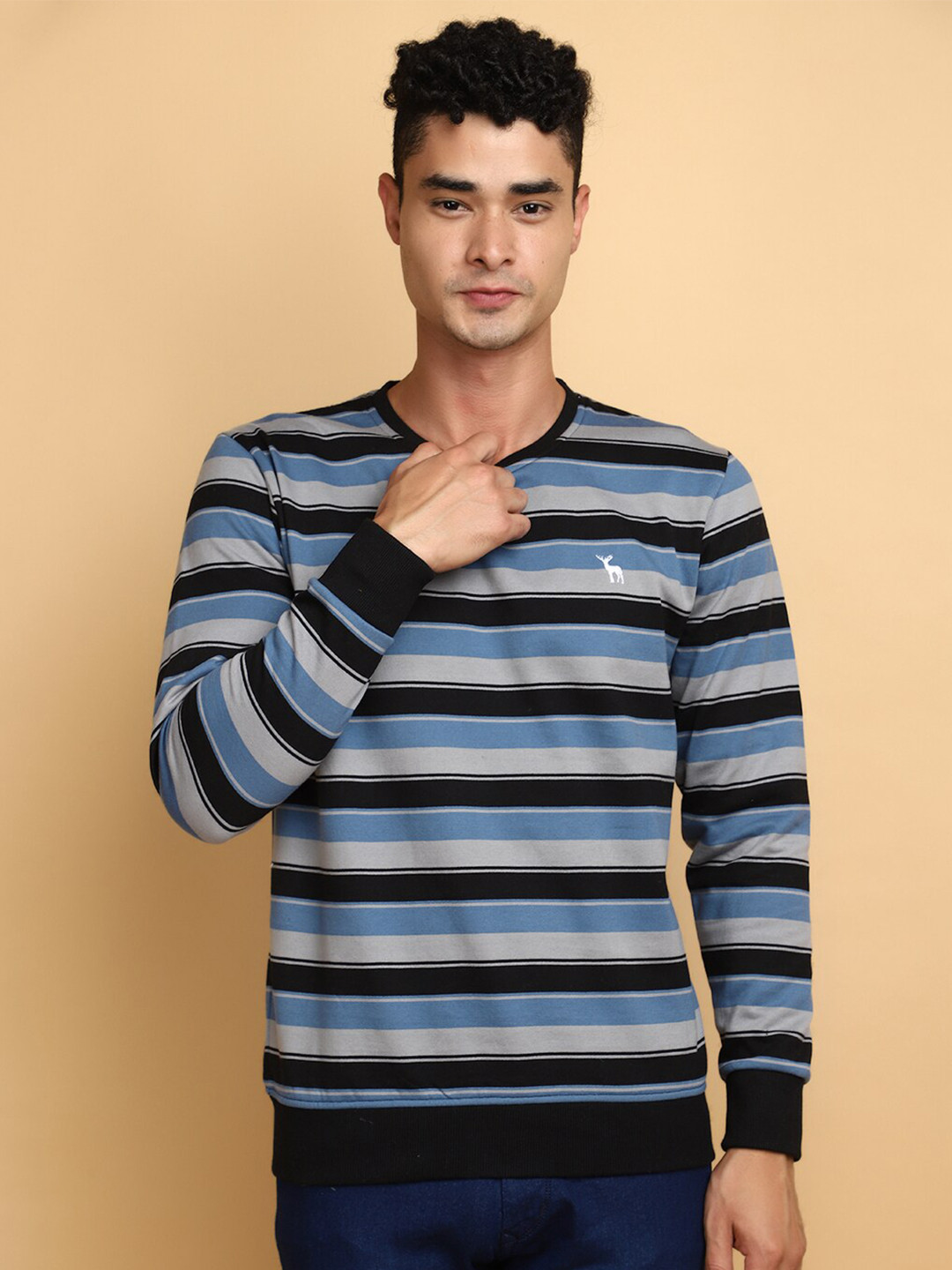 

V-Mart Striped Round Neck Sweatshirt, Blue
