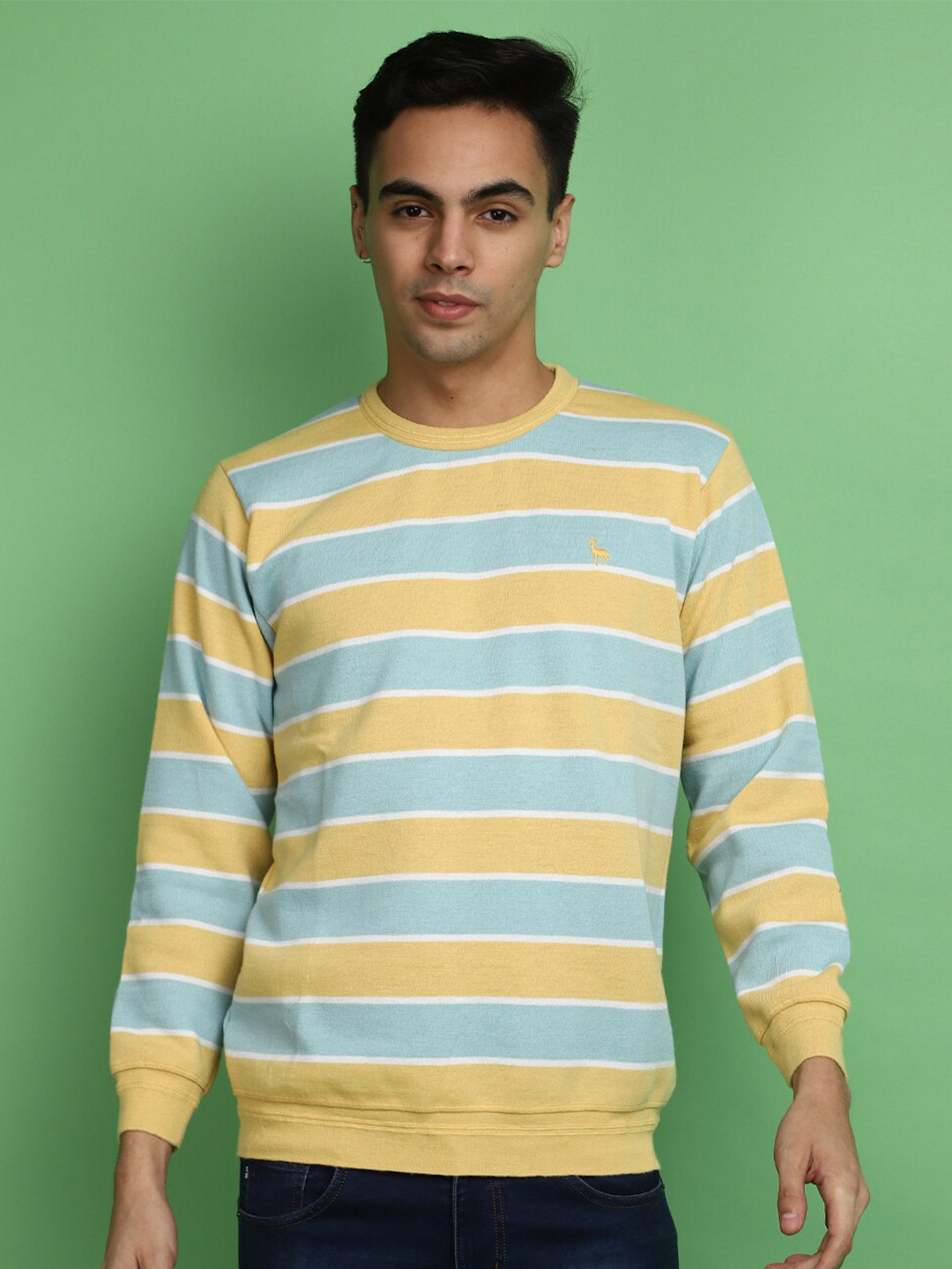 

V-Mart Striped Round Neck Cotton Sweatshirt, Green