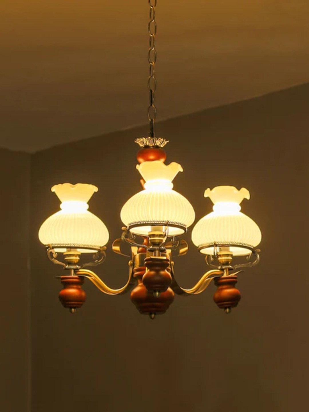 

THEDECORKART White & Brown Contemporary Metal Ceiling Lamp