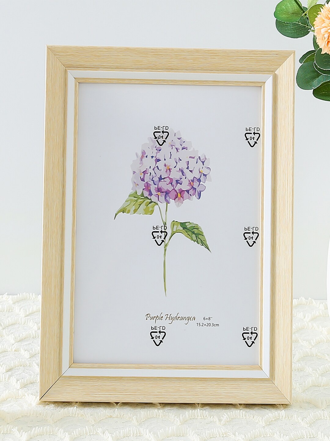 

Kuber Industries Cream Rectangle Photo Frames