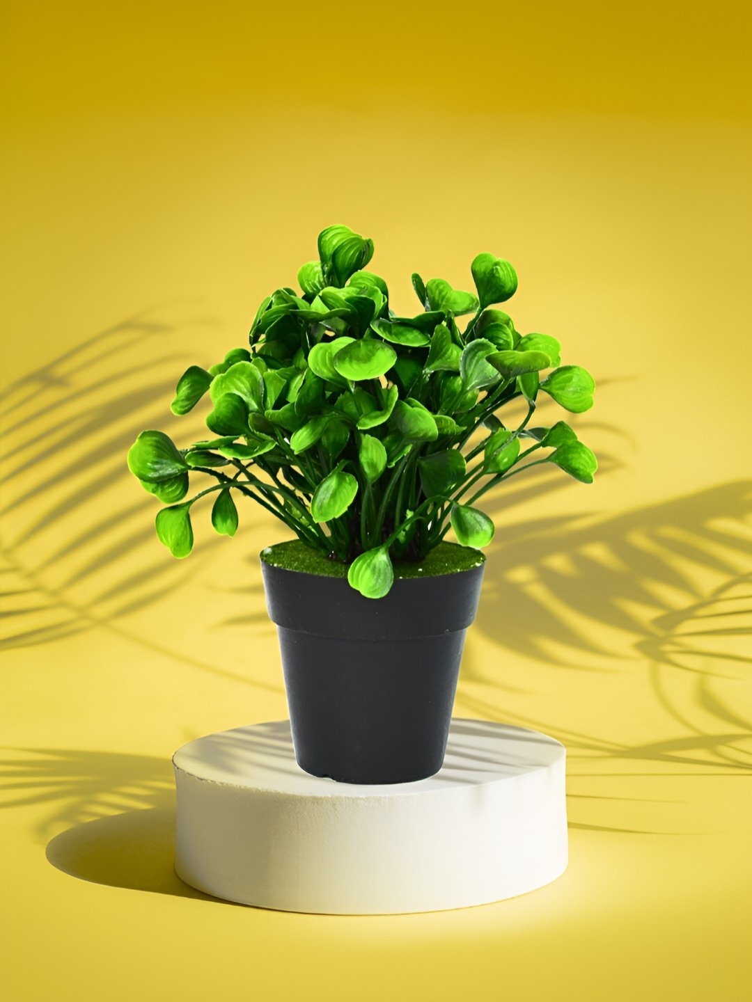 

DECOREBUGS Green & Black Artificial Potted Plant With Pot