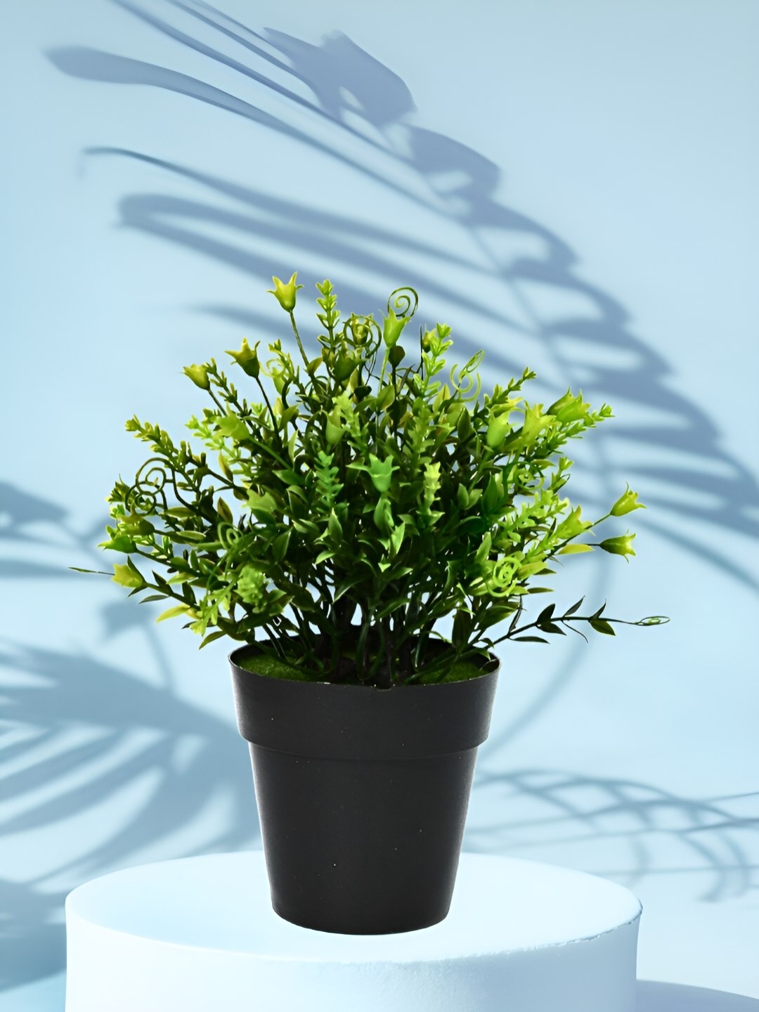 

DECOREBUGS Green & Black Artificial Plant With Pot
