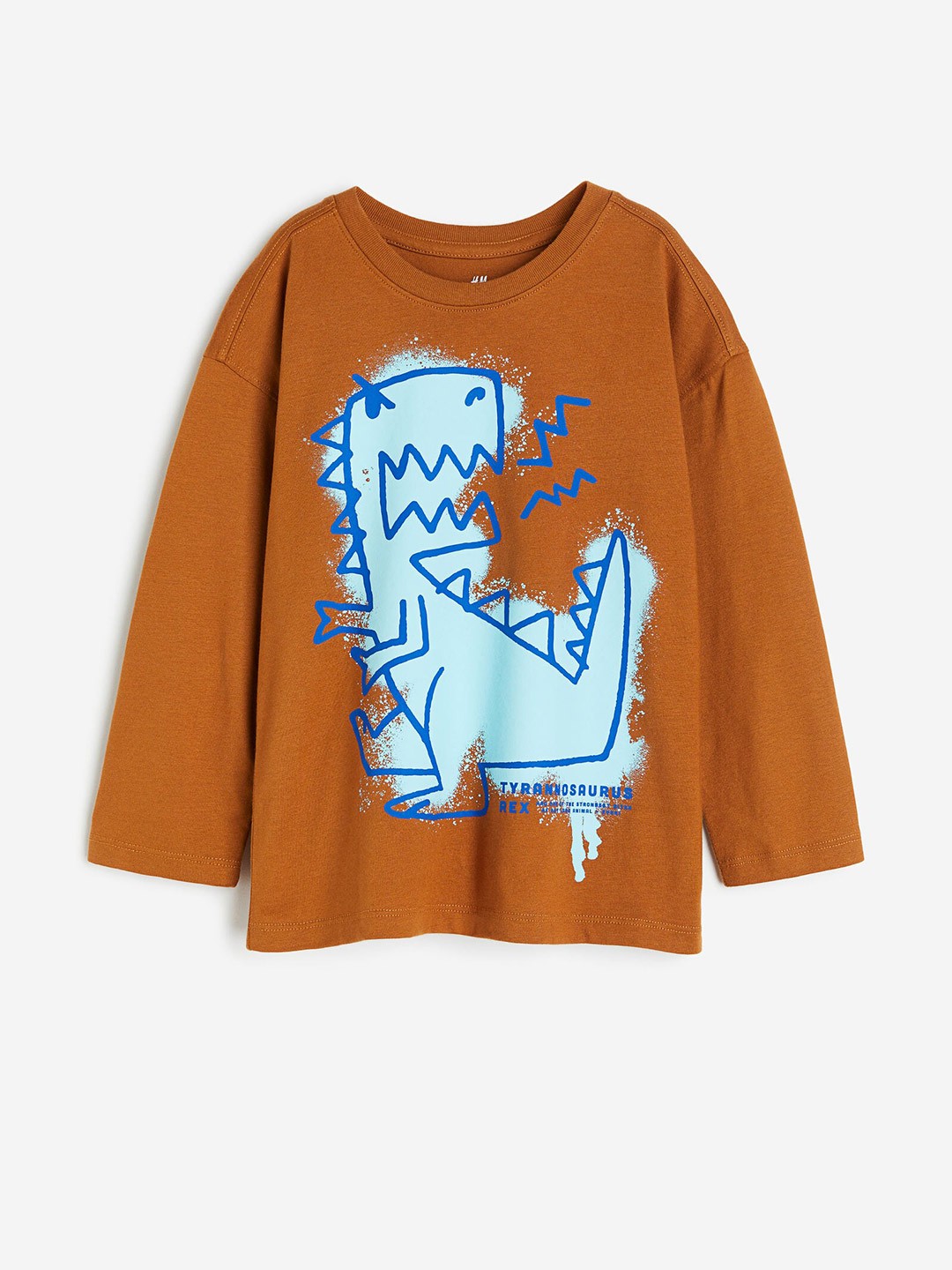 

H&M Boys Pure Cotton Long-Sleeved T-Shirt, Brown