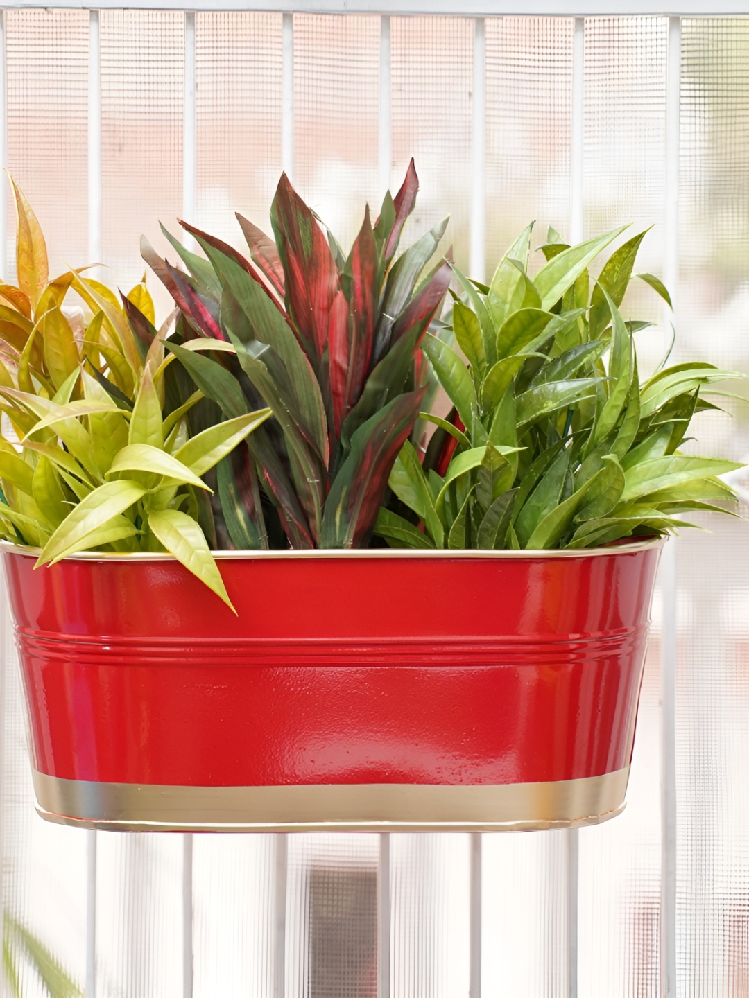 

GOLD DUST Red Oval Metal Planters