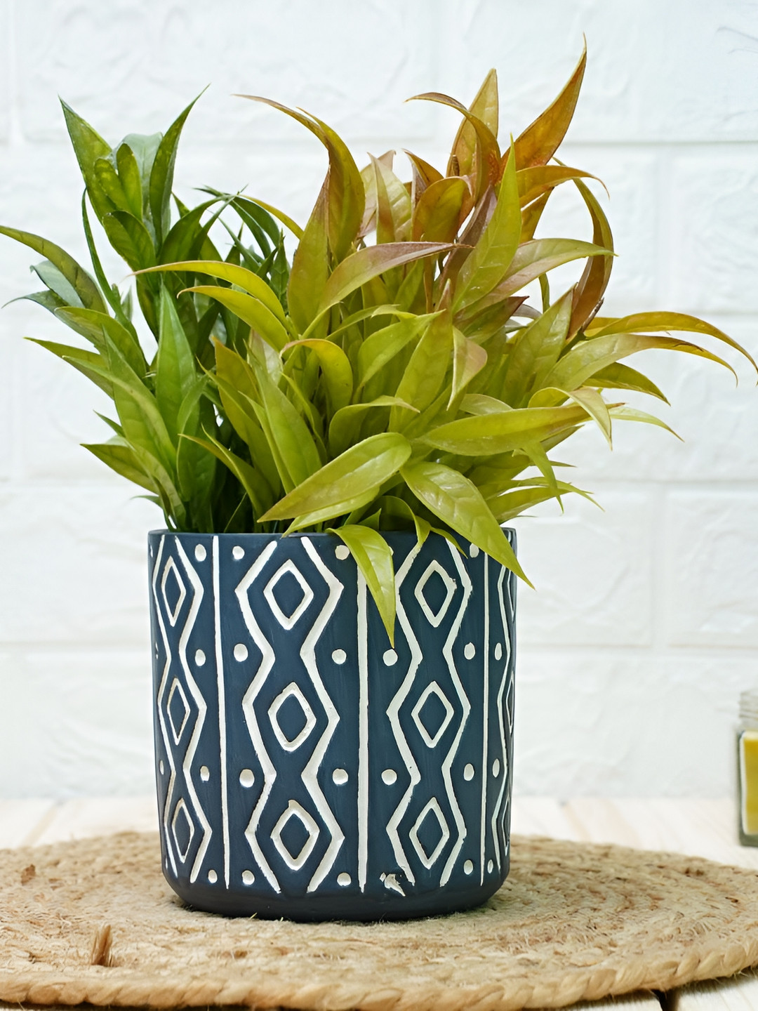

GOLD DUST Blue & White Ceramic Printed Planter
