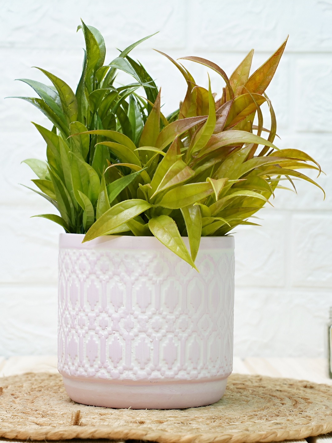 

GOLD DUST Mauve Printed Ceramic Planters