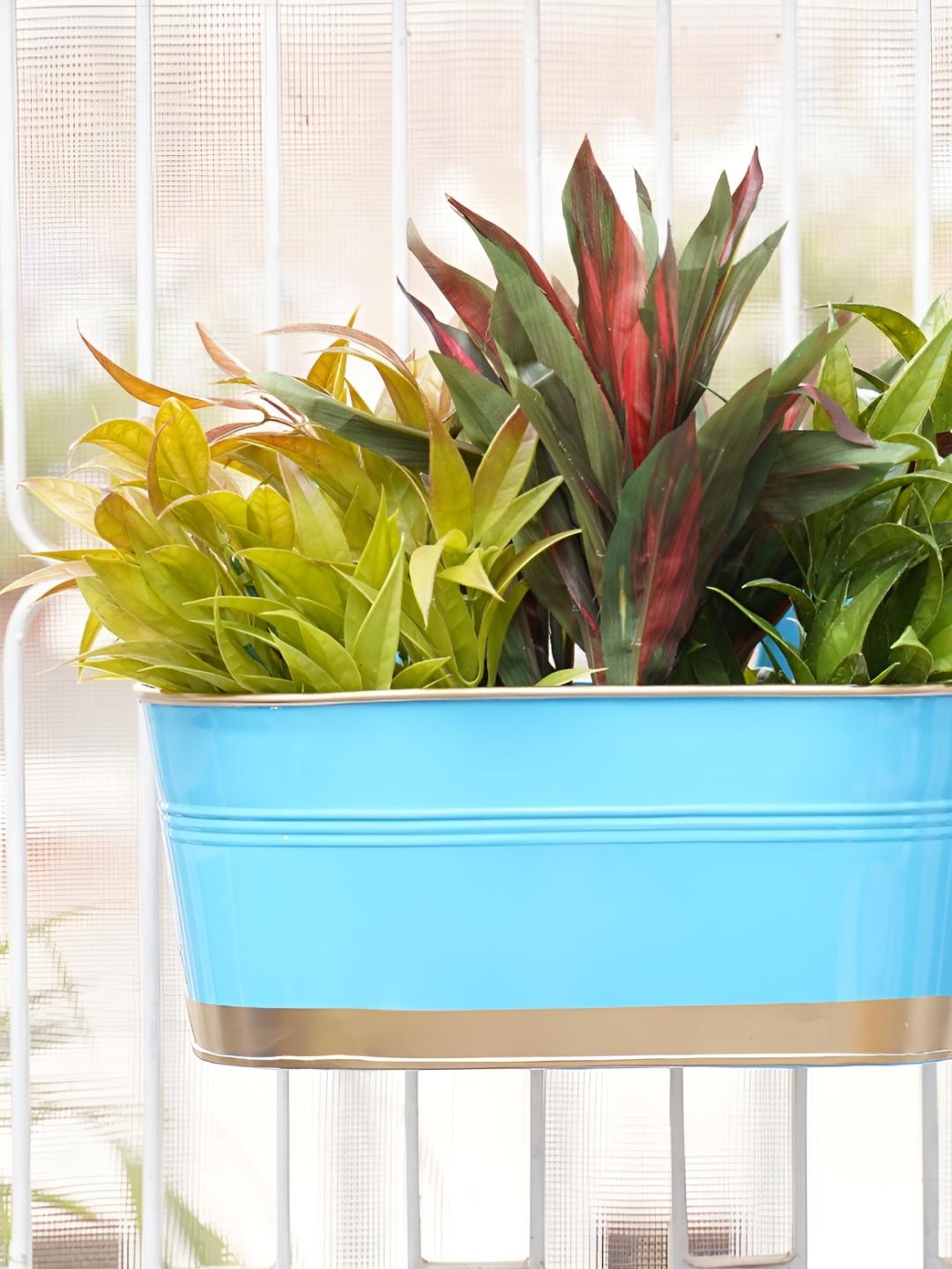

GOLD DUST Blue 4 Pieces Metal Railing Planters