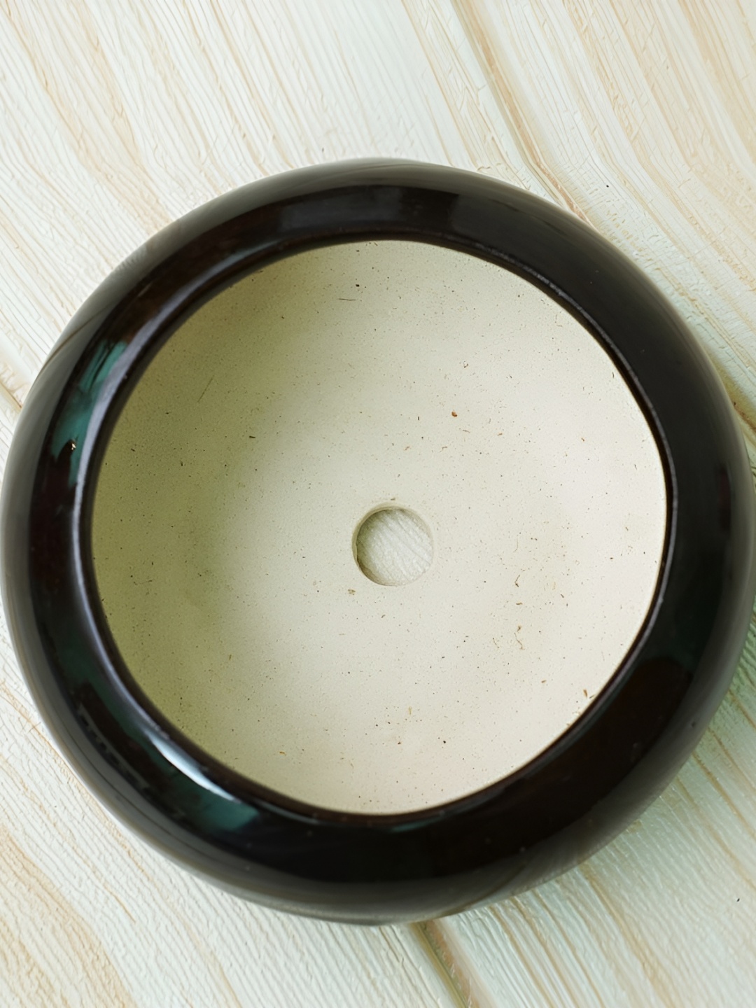

GOLD DUST Black Ceramic Glossy Finished Planter
