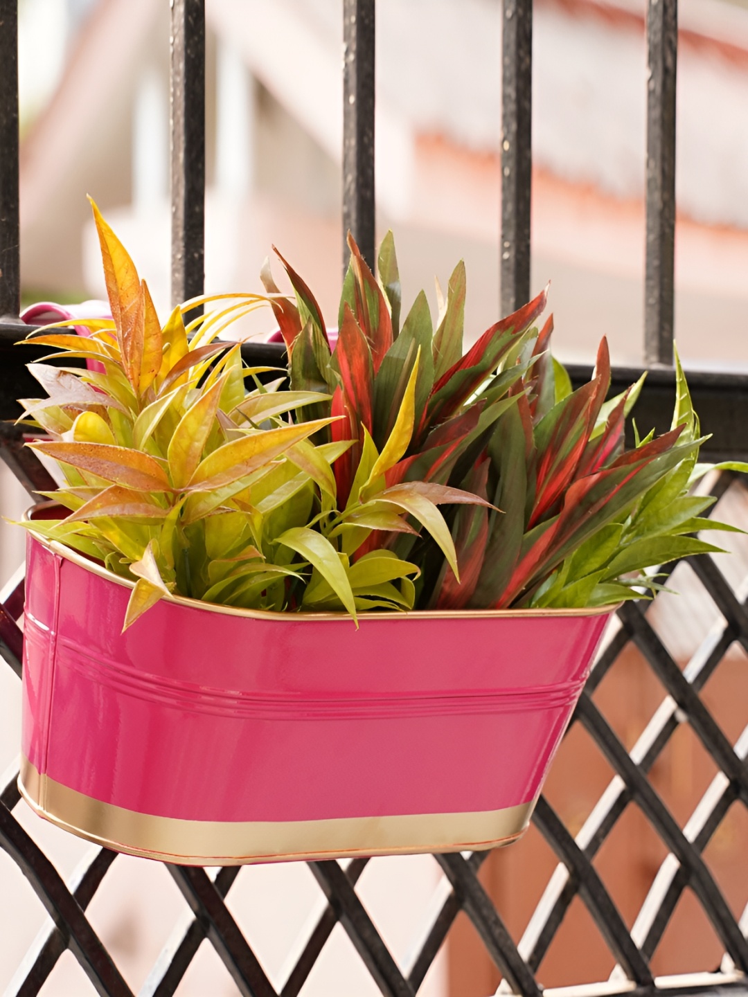 

GOLD DUST Pink 4 Pieces Metal Railing Planters