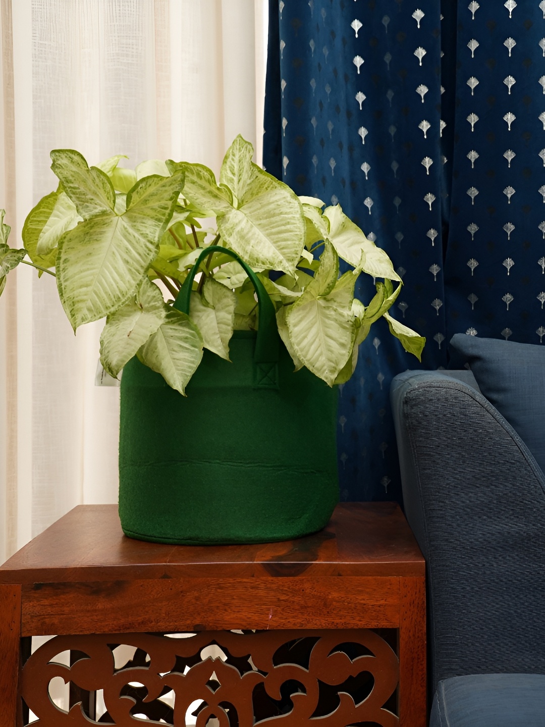 

GOLD DUST Green 4 Pieces Jute Planters