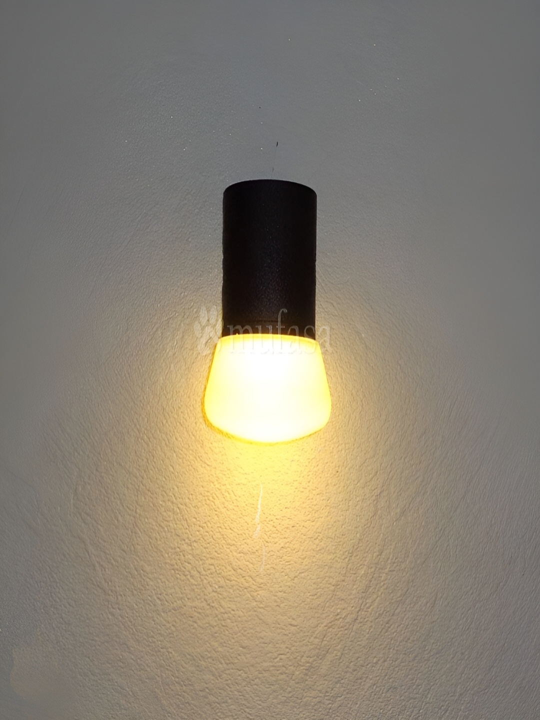 Mufasa Black 5 Watts LED Down Light Indoor & Outdoor Lamp
