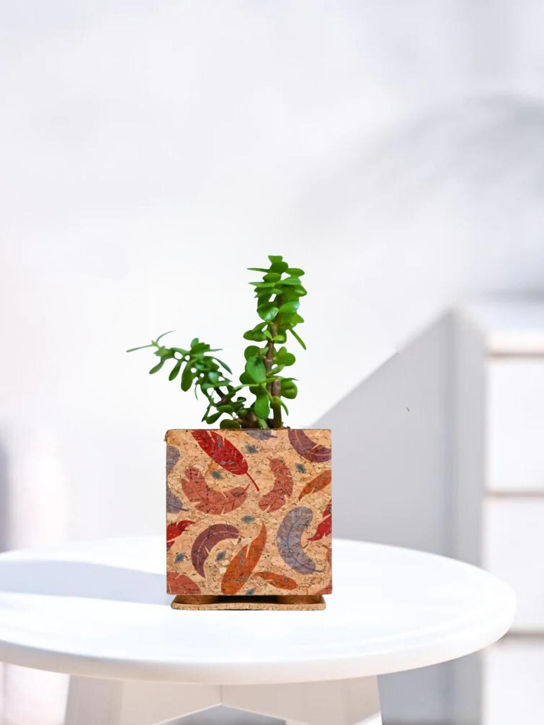 

Raw Yarns Indoor Jade Plant With Pot - 10 cms, Beige