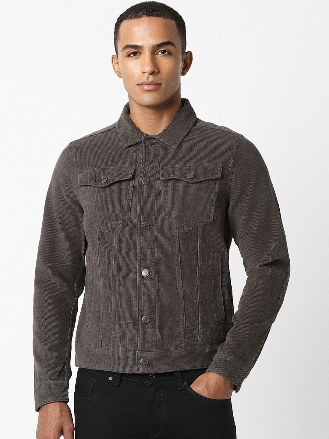 

Peter England Casuals Self Design Cotton Tailored Jacket, Brown