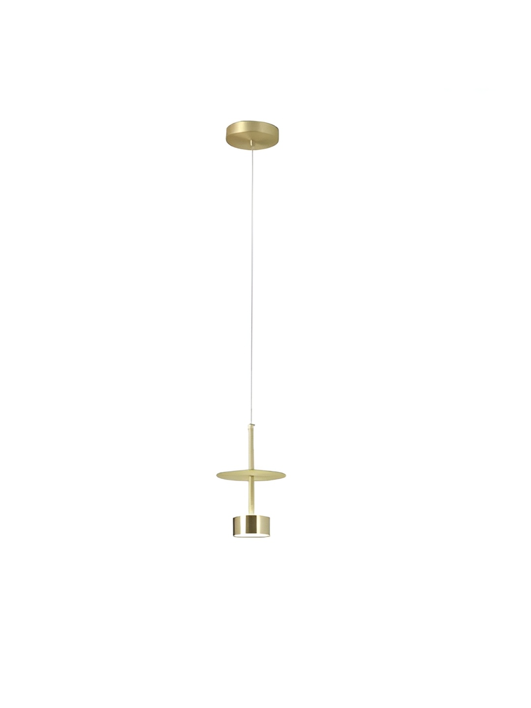 

CHIC CASA Gold Toned Droplight Ceiling Lamp