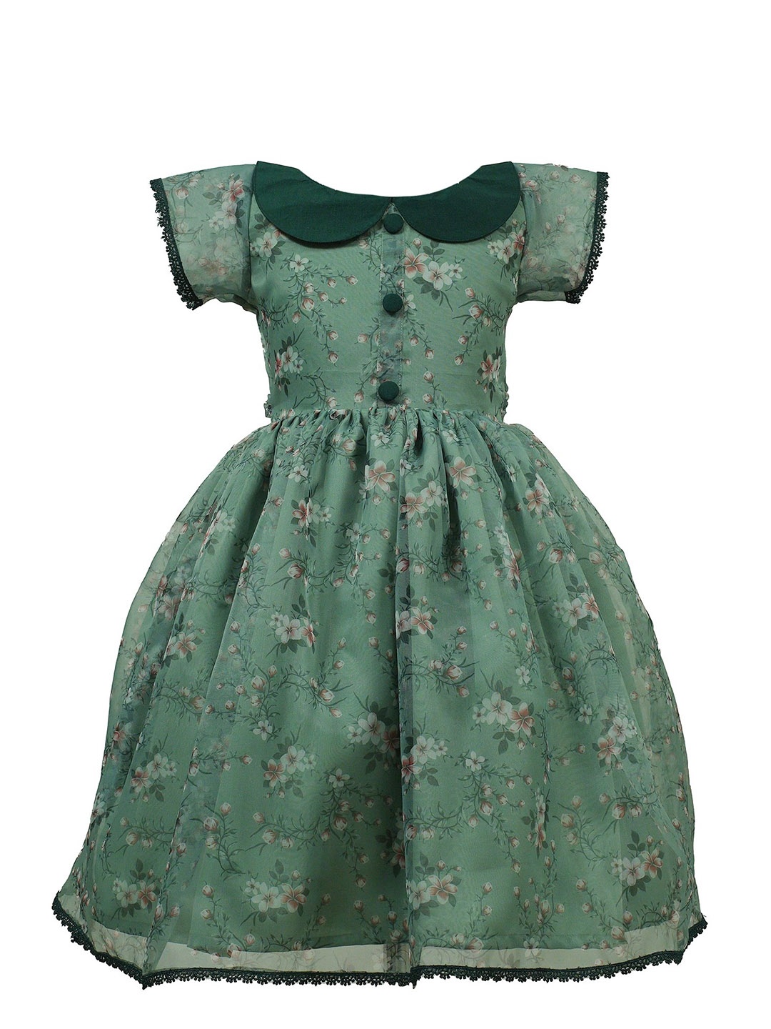 

BAESD Girls Floral Printed Organza Fit & Flare Dress, Green