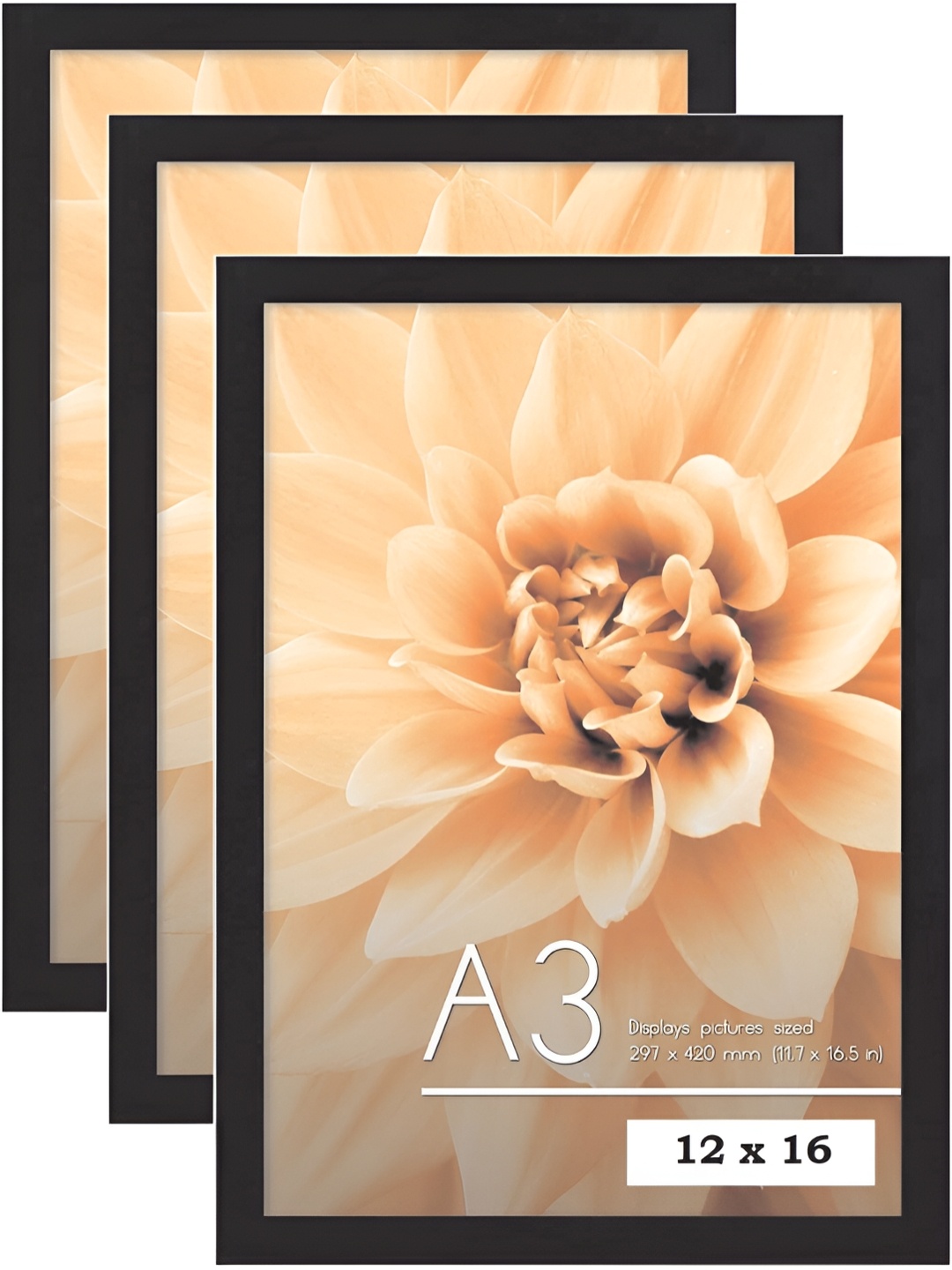 

Ag Crafts Black 3 Pieces 2 to 4 Pieces Wooden Wall Photo Frames