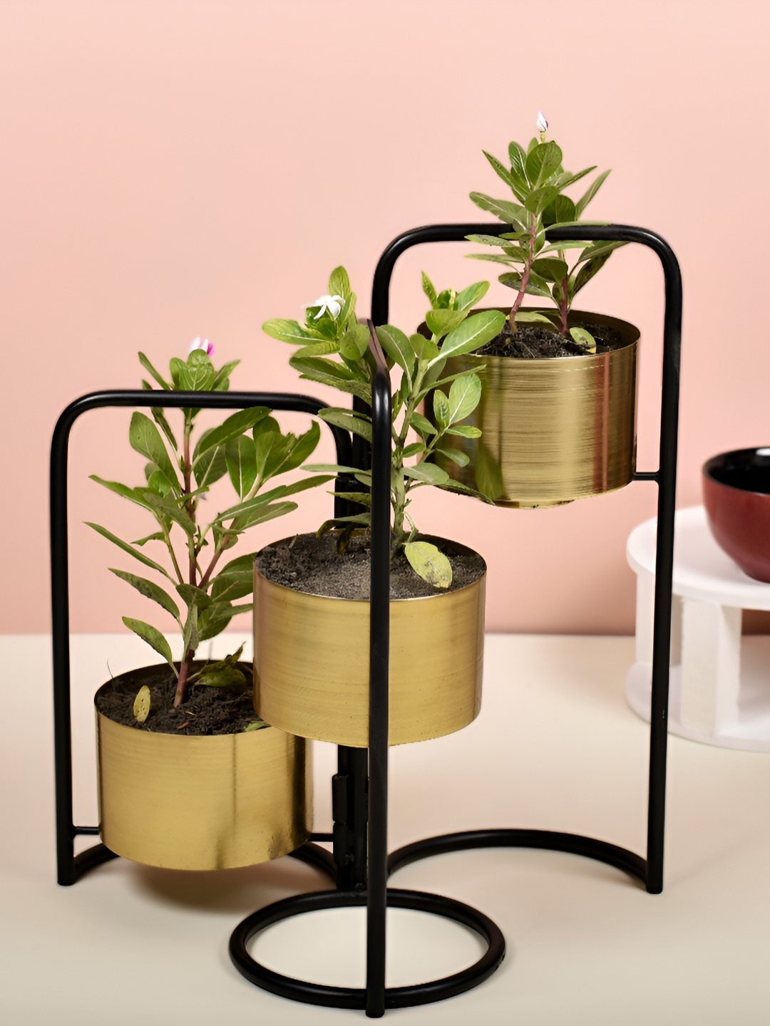 

Manor House Black & Gold- Tone Textured 3 Detachable Pots With Foldable Planter