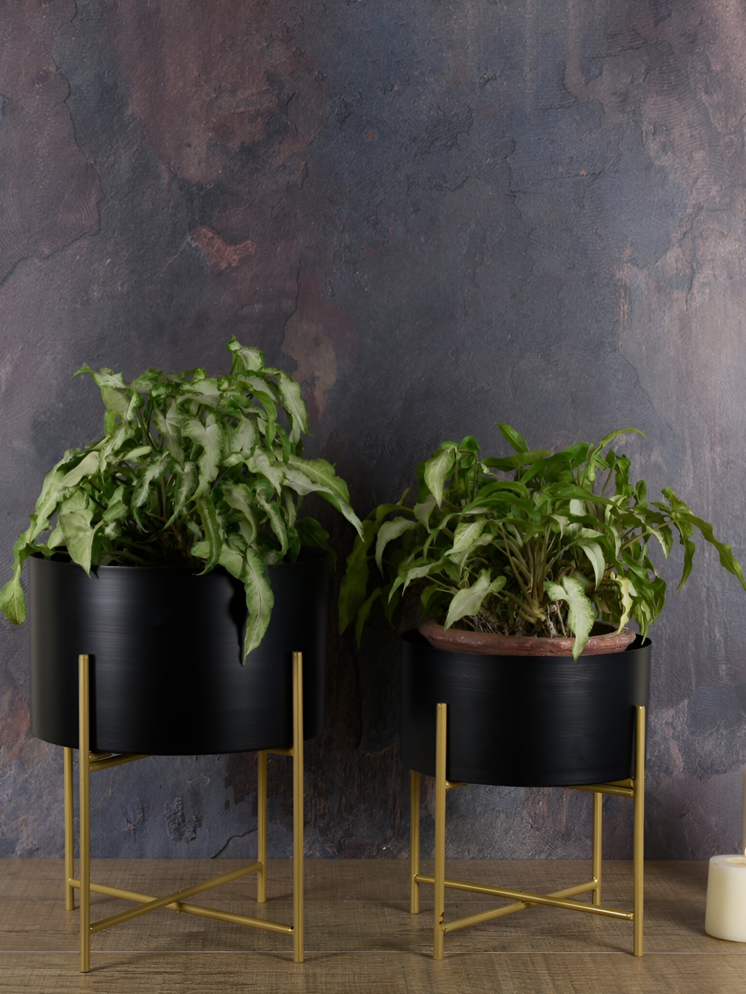 

Manor House Black 2 Pieces Metal Planters With Stands
