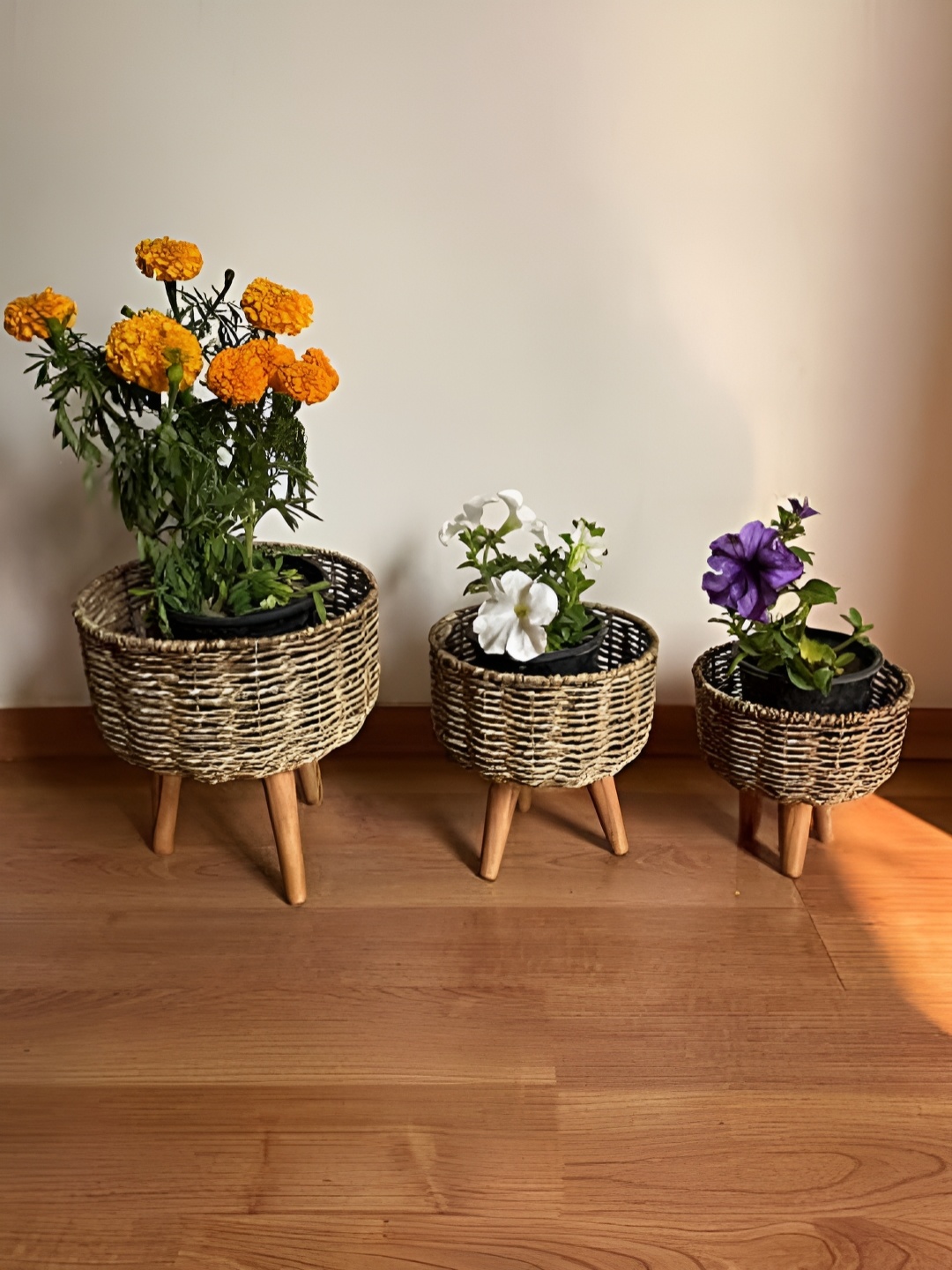 

The Advitya Set of 3 Handmade Twisted Jute Rope Planters, Brown