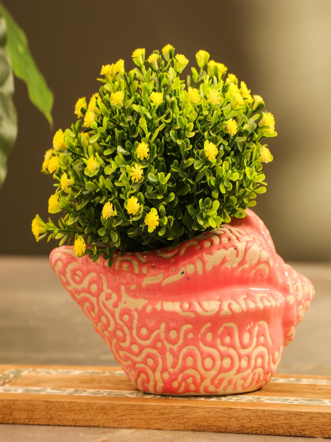 

The Decor Mart Pink & Cream Textured Ceramic Shell Shaped Planter