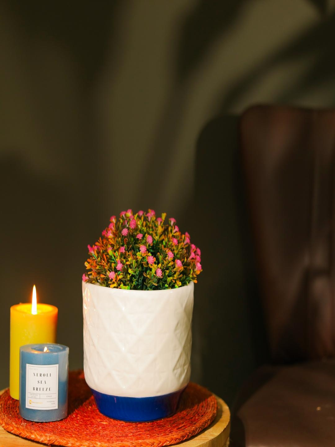 

The Decor Mart White Textured Ceramic Planter