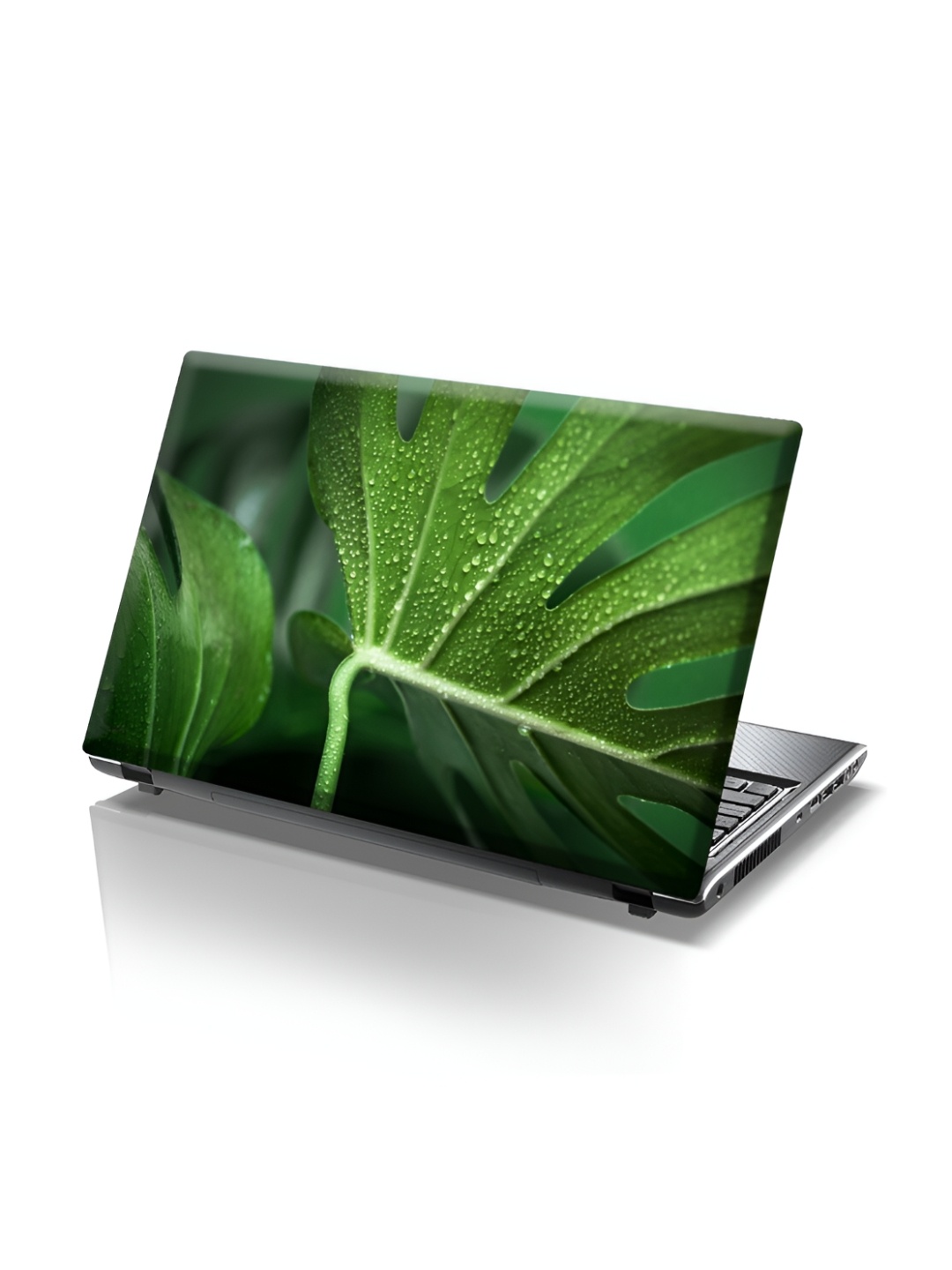 CVANU Green Leaf With Droplets Self Adhesive Laptop Sticker
