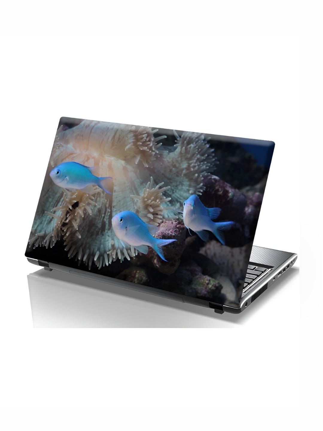 

CVANU Beige & Blue Fish Printed Self Adhesive Laptop Sticker