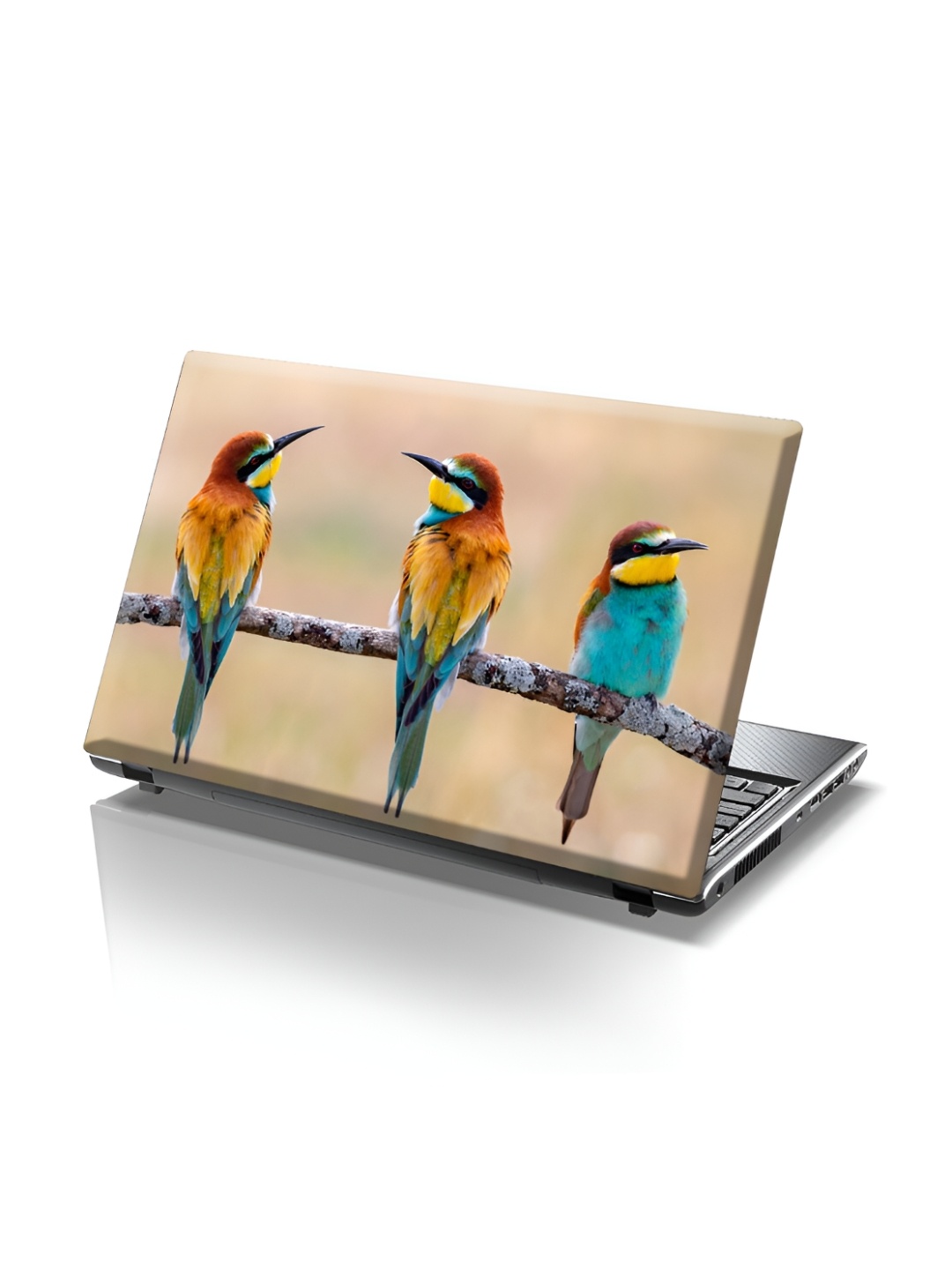 

CVANU Brown & Blue Birds Printed Self Adhesive Laptop Sticker