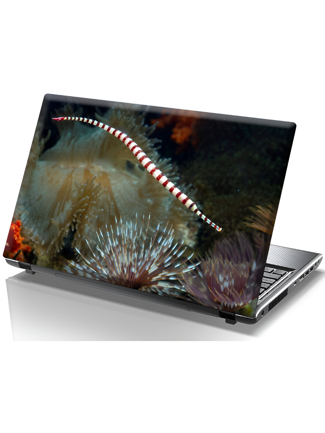 

CVANU Black & White Printed Self Adhesive Laptop Sticker, Blue