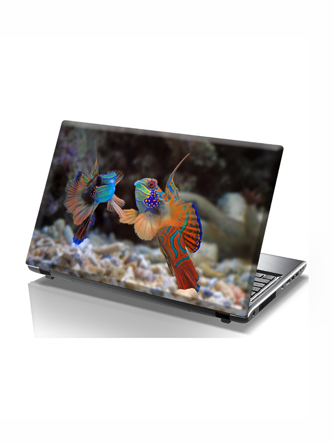 

CVANU Orange & Blue Marine Animals Printed Self Adhesive Laptop Sticker