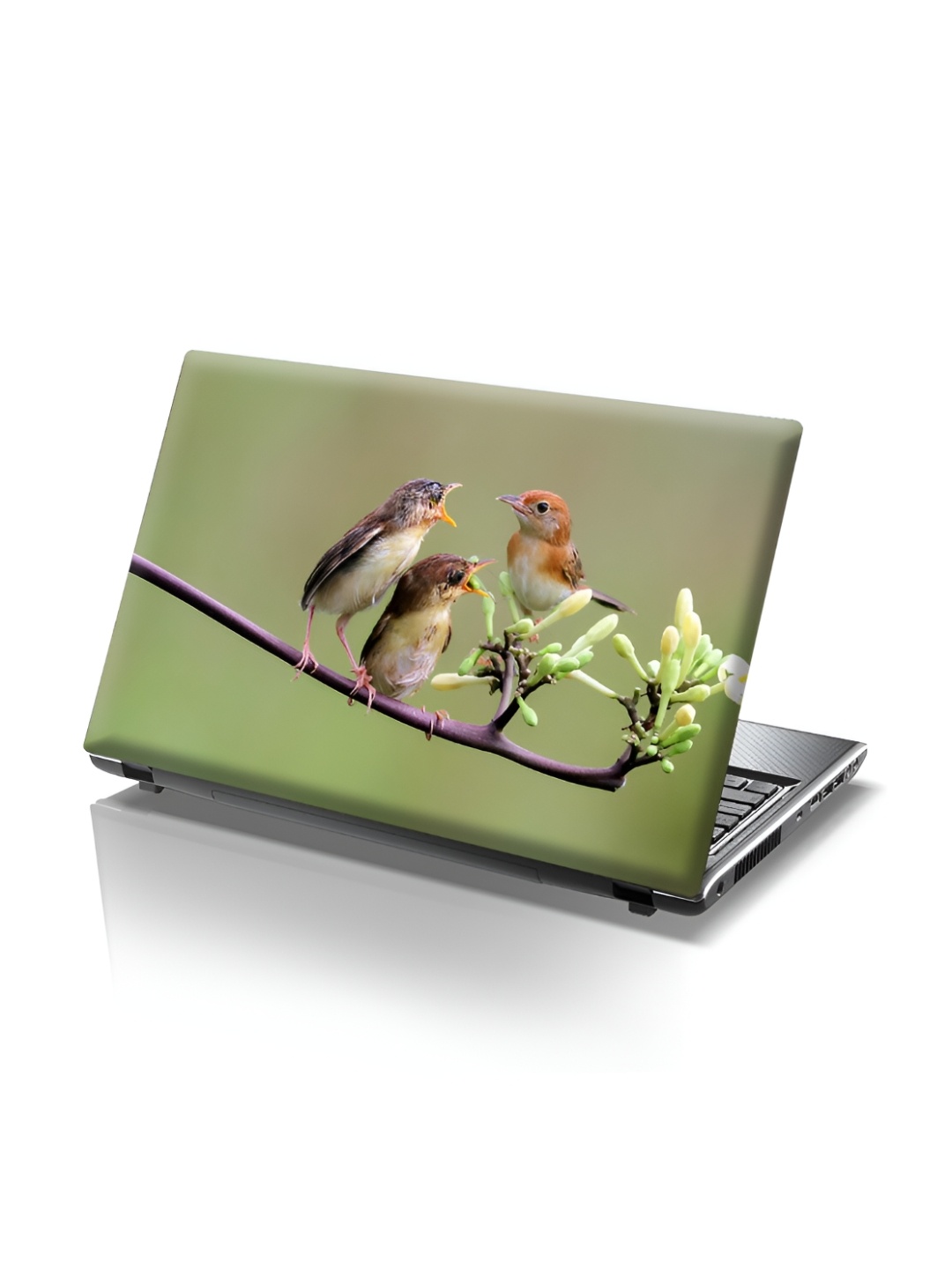 CVANU Green & Brown Birds Self Adhesive Laptop Sticker