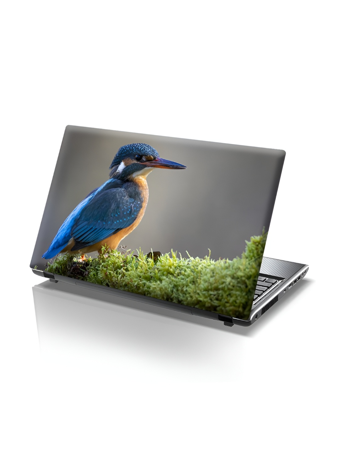 

CVANU Beige & Green Bird Self Adhesive Laptop Sticker
