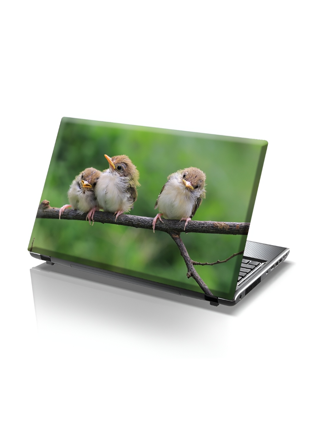 

CVANU Green & Beige Birds Self Adhesive Laptop Sticker