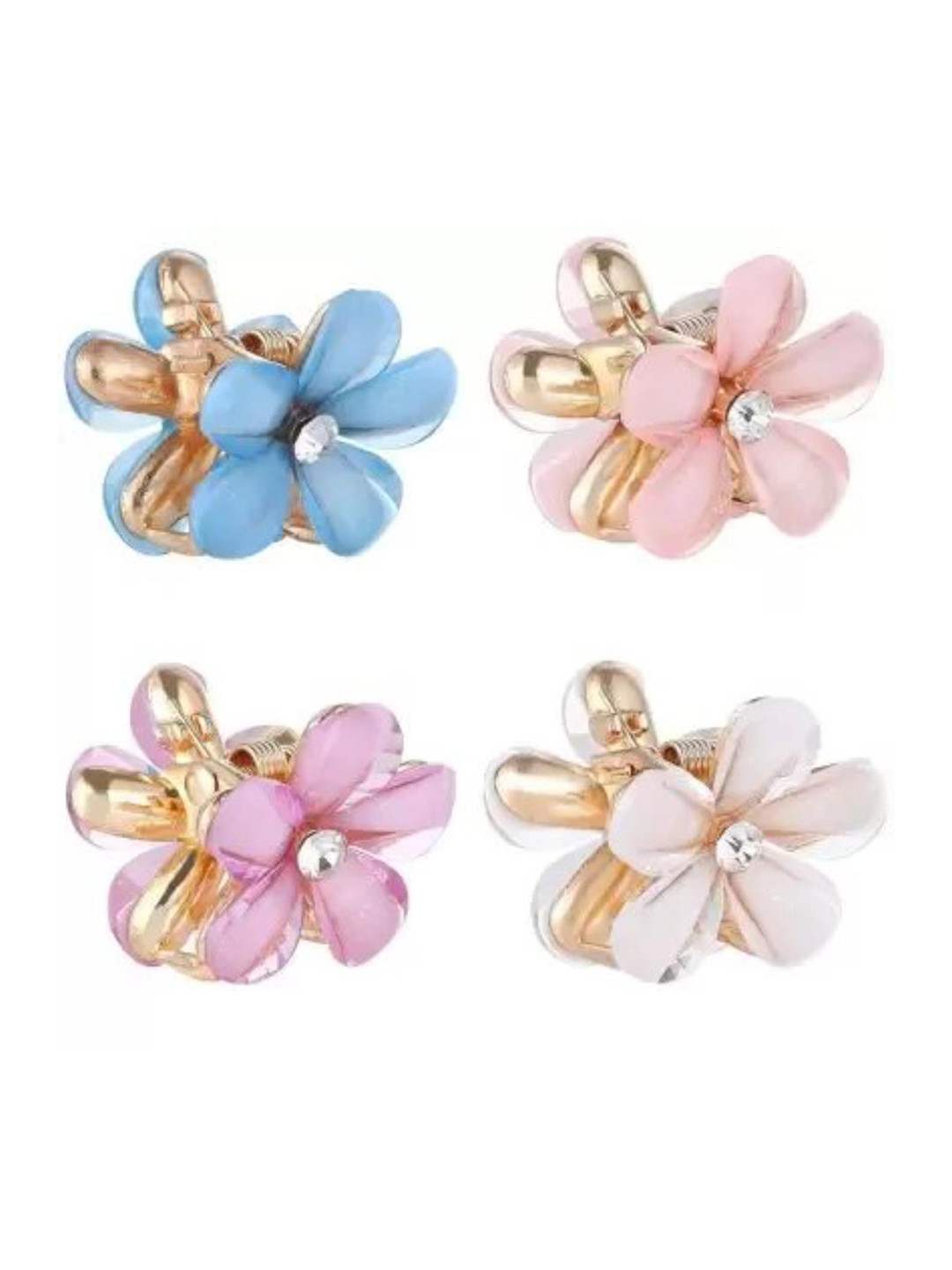 

DN Creation Women Assorted Set of 4 Claw Clip