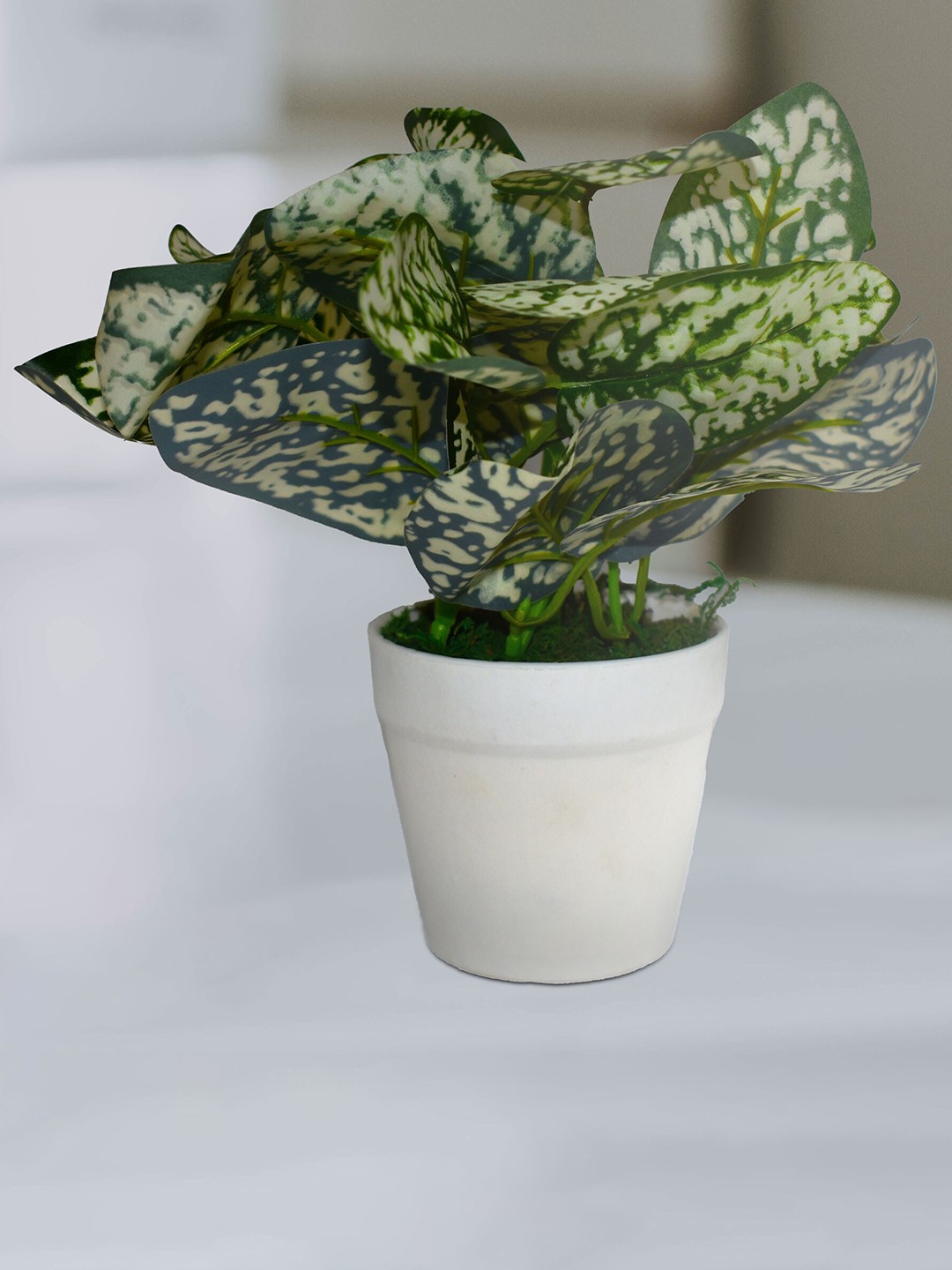 

AMFLIX Green & White Bonsai Artifical Plant With Pot