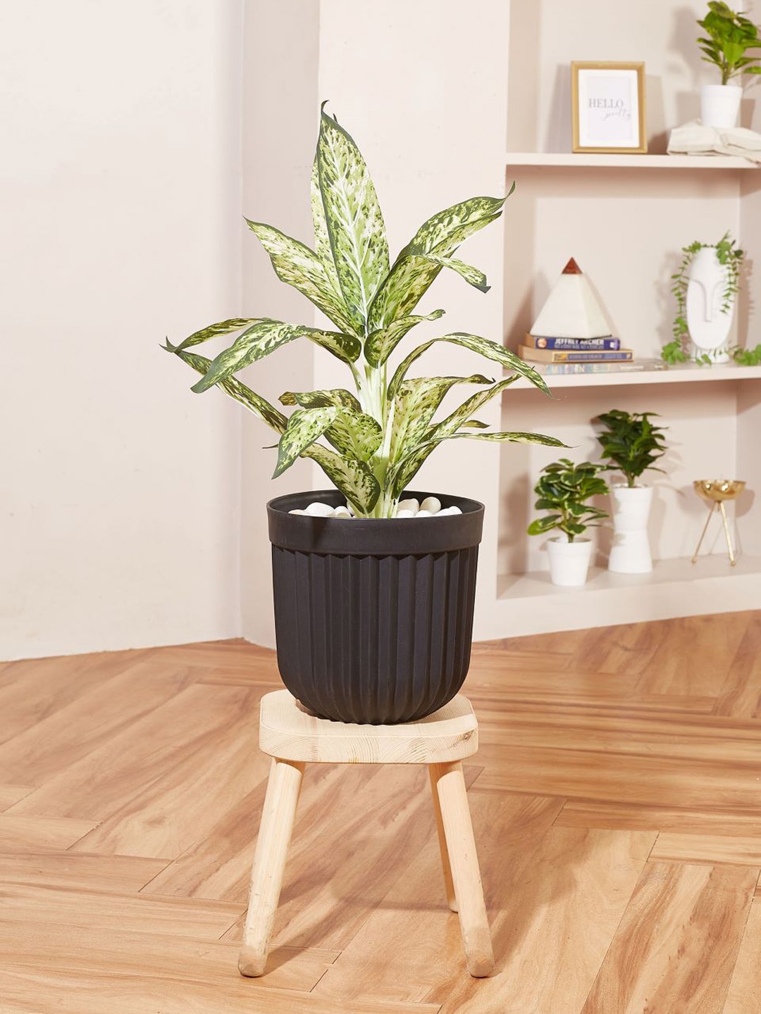 

Mason Home Black Textured Ruffle Planter