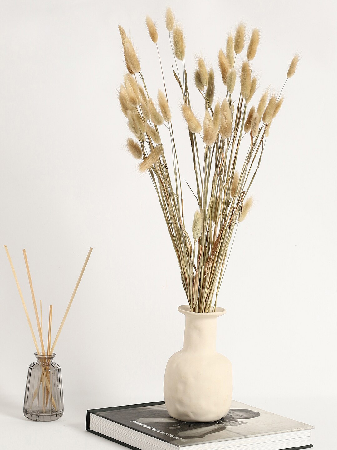 

Bonhomie Beige Bunny Tails Artificial Plants