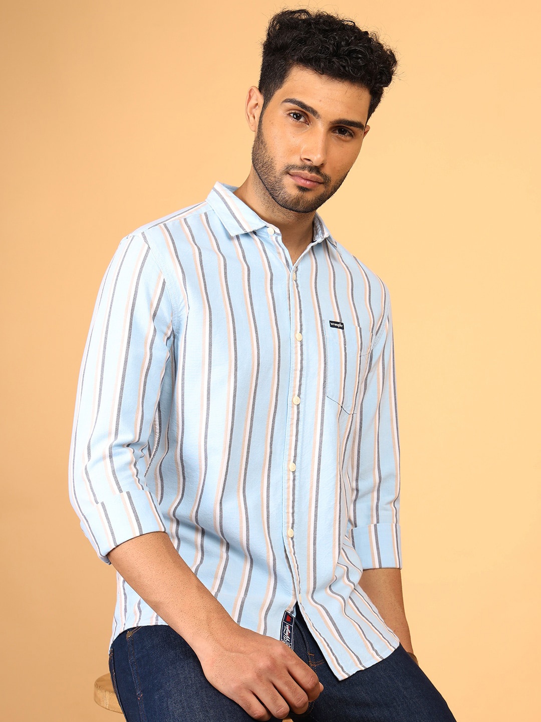 

Wrangler Regular Fit Vertical Striped Oxford Weave Pure Cotton Casual Shirt, Blue