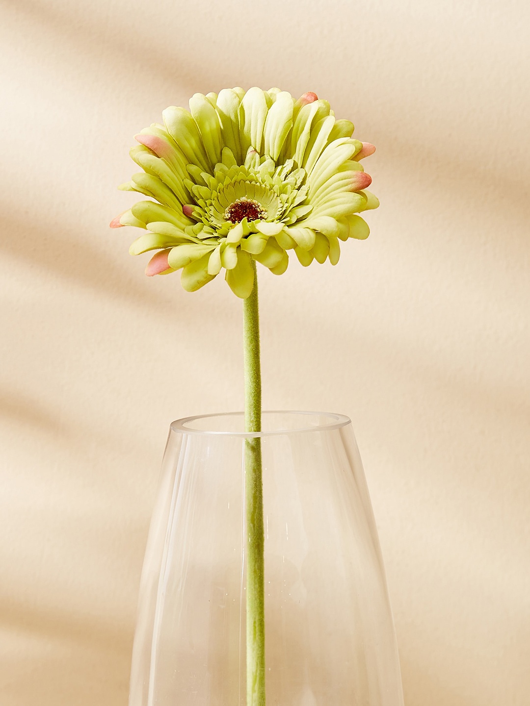 

Home Centre Green Gerbera Daisy Artificial Flower Stick