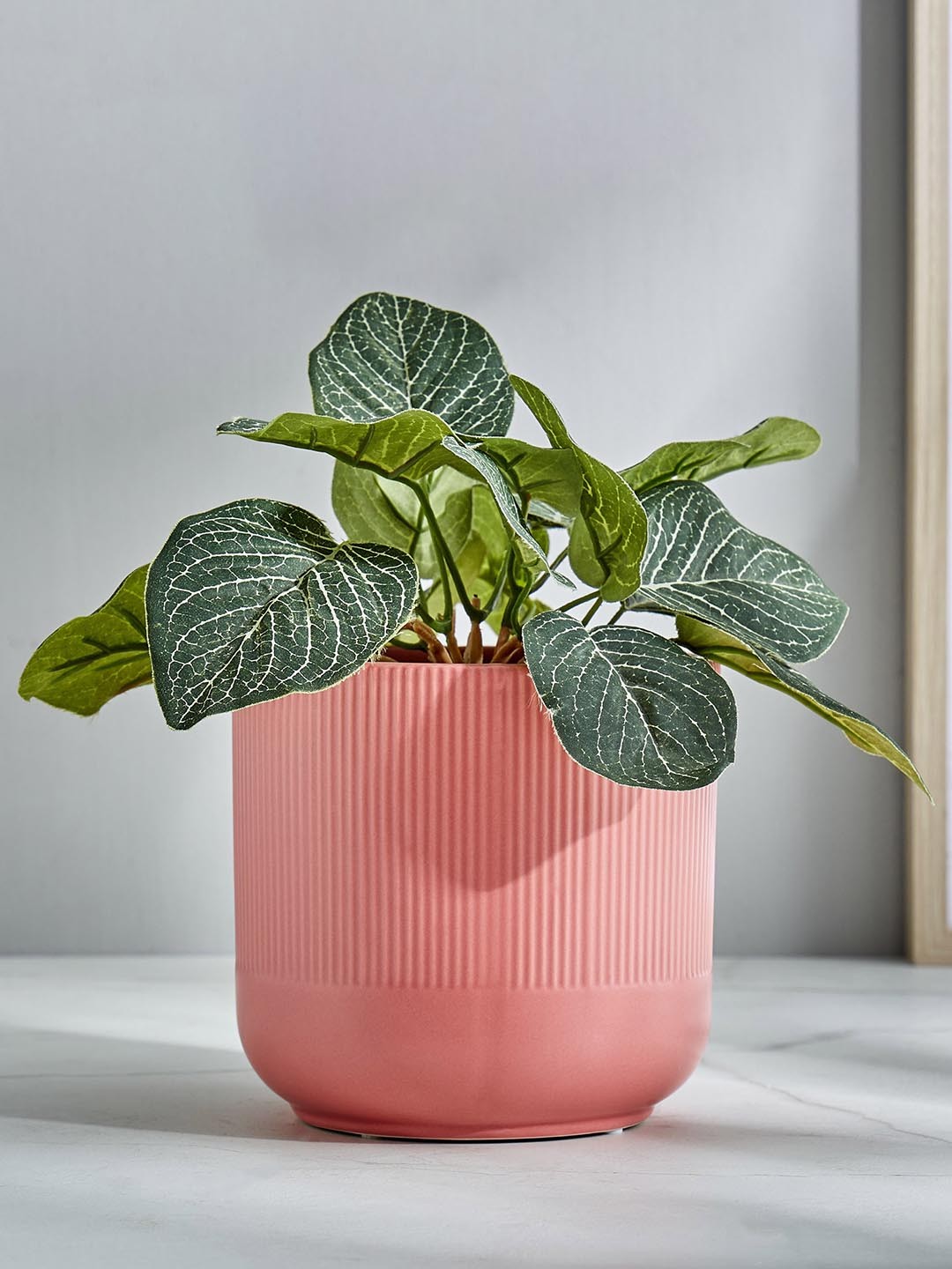 

Home Centre Gloria Pink Ribbed Ceramic Planter